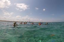 Snorkeling Adventure in Puerto Morelos