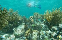 Snorkeling Adventure in Puerto Morelos
