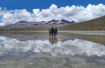 Salar de Salinas Adventure from Arequipa from 6:00am to 1:30pm
