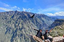Full Day Tour to Colca from Arequipa