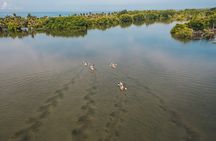Puerto Escondido: Manialtepec Lagoon by Kayak