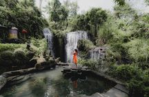 Full Day Bali Experience with Blessing Tour