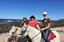 Horseback Riding in Tamarindo Beach