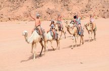 Camel Ride, Bedouin Dinner & Stargazing in 4X4 Jeep Safari in Hurghada