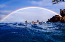 Turtle Town Clear Kayak & Snorkel Tour (10:30am-1pm)