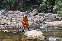 Jungle Survival Tour - Return to Nature - Depart from Hue, Da Nang