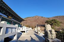 Busan Beomeosa Temple & Hongbeopsa Temple with temple lunch