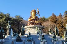 Busan Beomeosa Temple & Hongbeopsa Temple with temple lunch