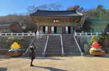 Busan Beomeosa Temple & Hongbeopsa Temple with temple lunch