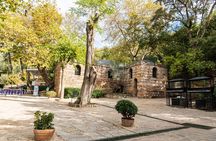 Private Shore Ex: Ephesus,House of Mary,Artemis, St.John Basilica