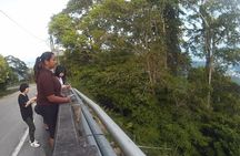 Langkawi Rainforest Afterdark