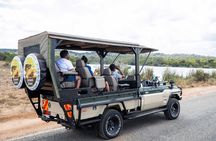 Nairobi National Park Game Drive - Shared Experience in Open Jeep