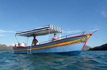 Boating along the coastline of San Carlos with a Marine Biologist
