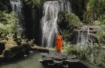 Full Day Bali Experience with Blessing Tour