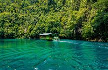 Famous Bohol Chocolate Hills Loboc River Cruise Tarsier Tour