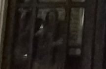 New Orleans Ghost Adventure with Real Paranormal Equipment 