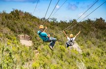 Zipline Experience: Sentry hill Zip & Flying Dutchman St Maartin