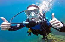 Scuba Diving Trip to Sail Rock From Koh Phangan (Certified Divers)