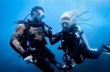 Scuba Diving Trip to Sail Rock From Koh Phangan (Certified Divers)