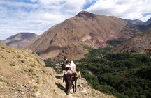  Atlas Mauntains and 3 Valleys Trek