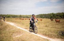 Full-Day Private Bike Tour of the Cu Chi Tunnels with Lunch