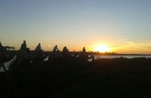 Camel ride + sunset + BBQ dinner in Agadir