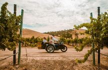 The Luxe Wine Trail Excursion Paso Robles 