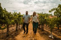 The Luxe Wine Trail Excursion Paso Robles 