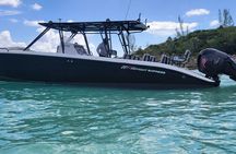Nas: 3 islands Tour ,snorkel, Turtles, pigs and lunch