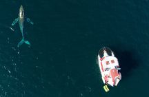 Marietas Islands National Park: Full Day ALL INCLUSIVE Tour