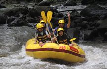 Bali White Water Rafting Yellow Garden