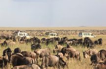 3-Day Tarangire, Ngorongoro and Lake Manyara Camping Safari
