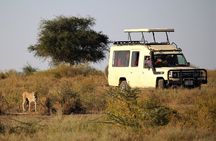 3-Day Tarangire, Ngorongoro and Lake Manyara Camping Safari