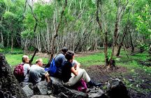 Halfday trekking Cat Ba Butterfly valley (more intense)