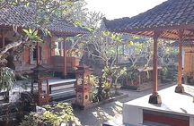 Ubud Bali Swing Tour All Inclusive 