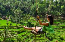 Ubud Bali Swing Tour All Inclusive 