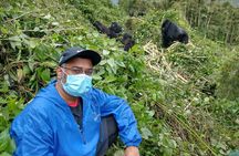 2 Days 1 Night Gorilla Trekking Safari in Rwanda