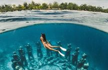 Half-Day Private Guided Snorkeling Turtles Underwater Statues 