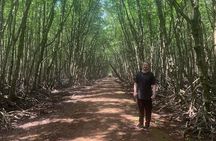 Can Gio Mangroves - Monkey Island by Motorbike and Scooter
