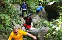 El Yunque Rainforest Guided Tour 