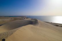 Special Private Arabic Setup with Desert safari experience.