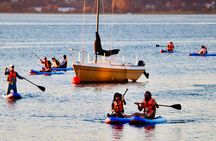 Daily SUP Paddleboard Rentals Package in Metro Vancouver