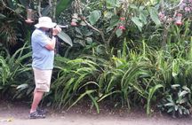Private Tour to the Hummingbird Reserve and visit to the Middle of the World from Quito