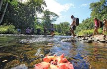 Secret Falls Kayak and Hike in Kauai