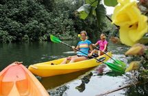 Secret Falls Kayak and Hike in Kauai