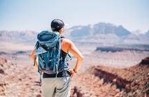 Zion National Park Petroglyphs, Dino tracks and Sandstone Arches