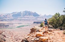 Zion National Park Petroglyphs, Dino tracks and More!