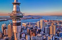 Auckland Highlight Fullday City Tour