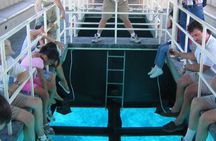 Full Day Glass Bottom Boat Excursion inc Lunch