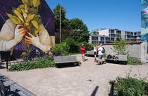 3-Hours Street Art Tour in Aalborg